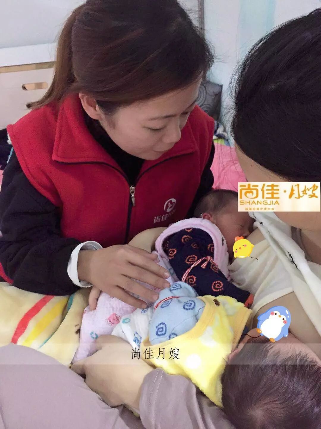 尚佳專業(yè)月嫂丨初生嬰兒需要吃多少？